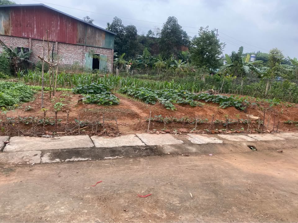 Lô đất Thịnh Hưng - Yên Bình 95m² giá chỉ 4xx triệu - Đầu tư sinh lời tốt!