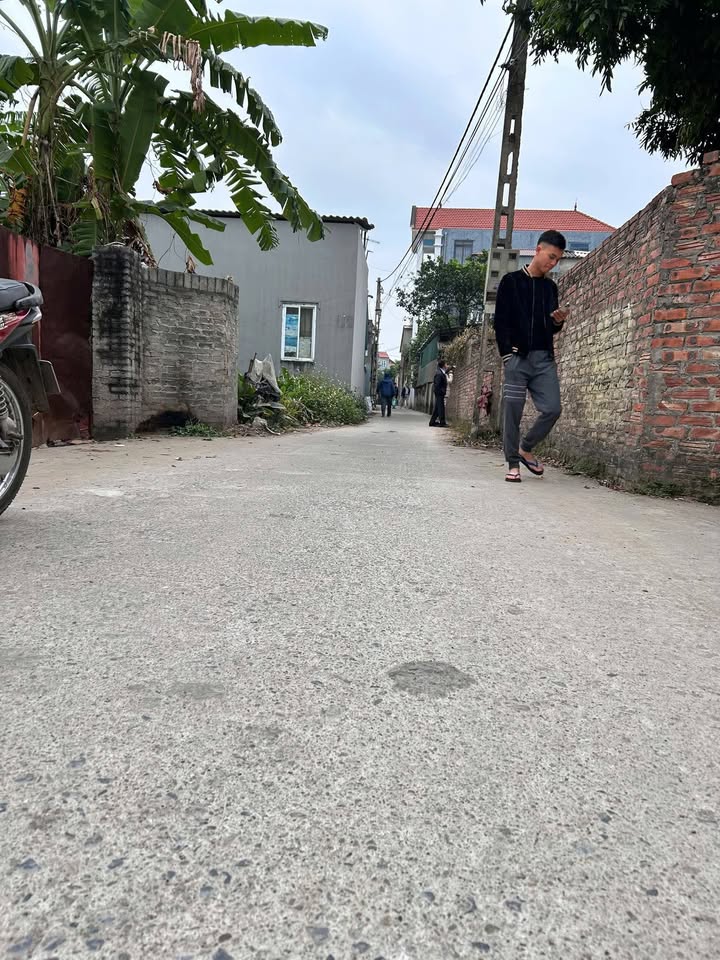 Đất nền phường Song Liễu, Thuận Thành 50m² giá 1 tỷ - Giảm giá sốc cuối năm!