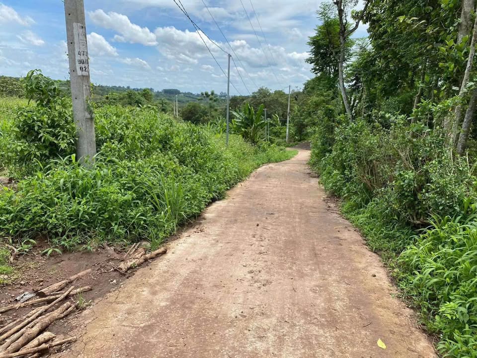 Đất nền Hàng Gòn, Long Khánh 2000m² giá 2.6 tỷ - View đồi thoáng mát