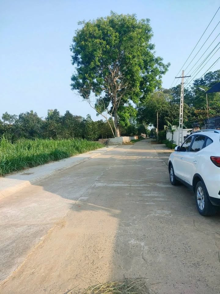 Lô đất 125m² tại xã Thọ Ngọc, Triệu Sơn, Thanh Hóa - Sổ hồng chính chủ, giá tốt!