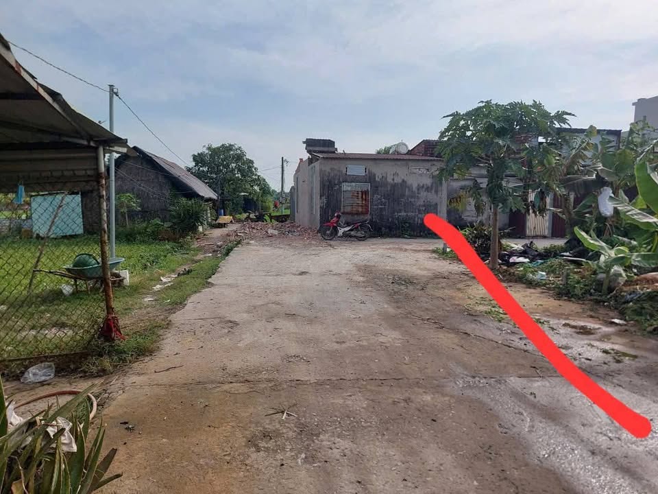 Đất nền xã Bình Mỹ, Củ Chi 115m² giá 1.8 tỷ - Sổ đỏ chính chủ, xây dựng tự do!