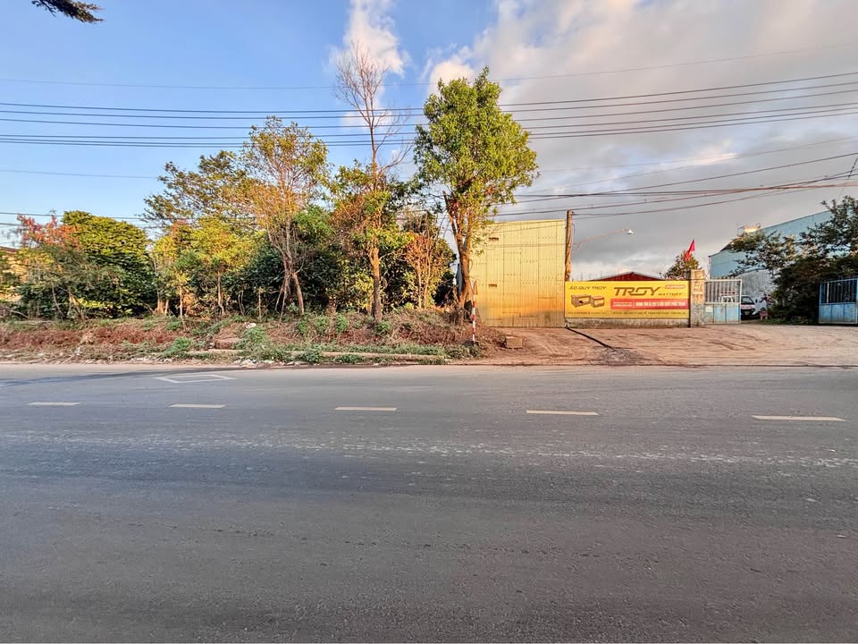 Bán gấp FrontHouse mặt tiền Trần Nhật Duật, Phường Diên Hồng, 328m² - Kinh doanh thuận lợi!