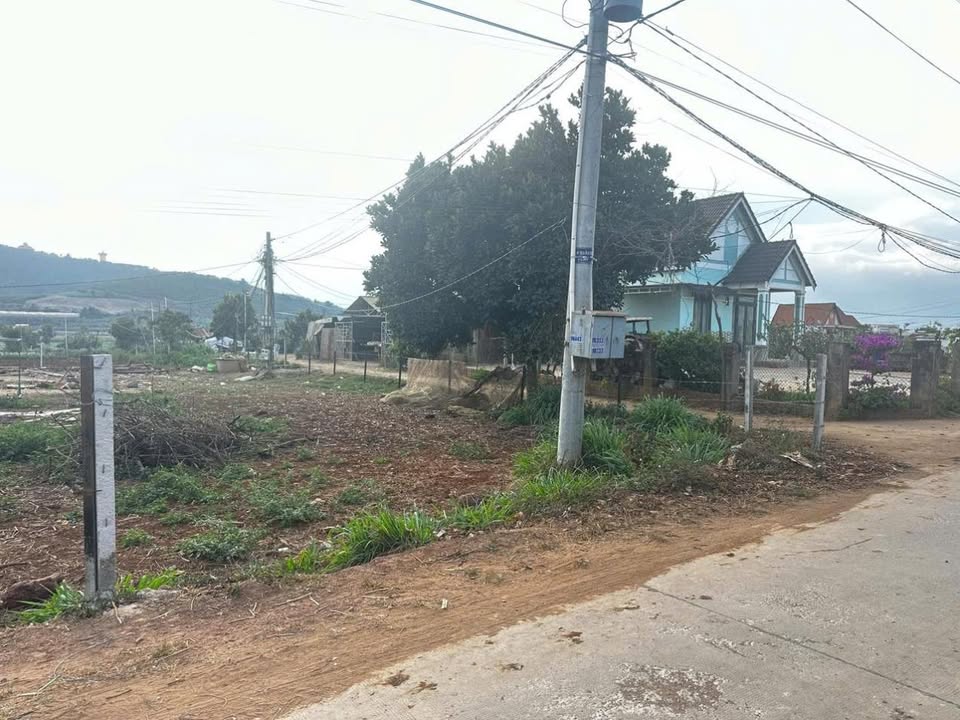 Đất thổ cư Đơn Dương 120m² giá 850 triệu - Sổ riêng, ô tô vào tận nơi!