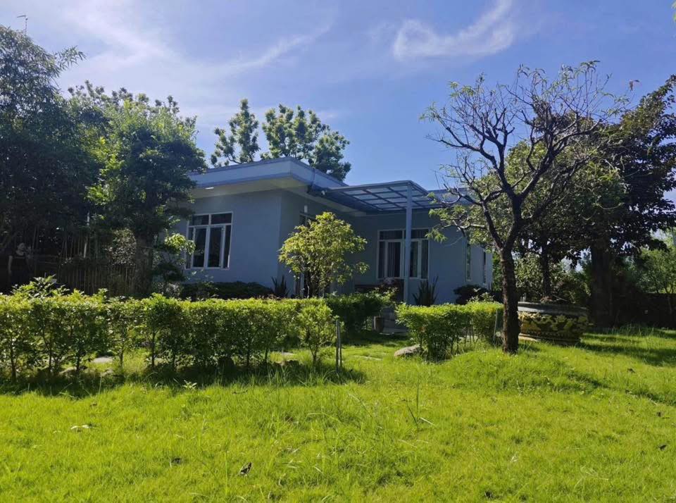Farm tại Quốc Oai, Hà Nội 880m² giá 11 tỷ - Chuyển nhượng gấp!