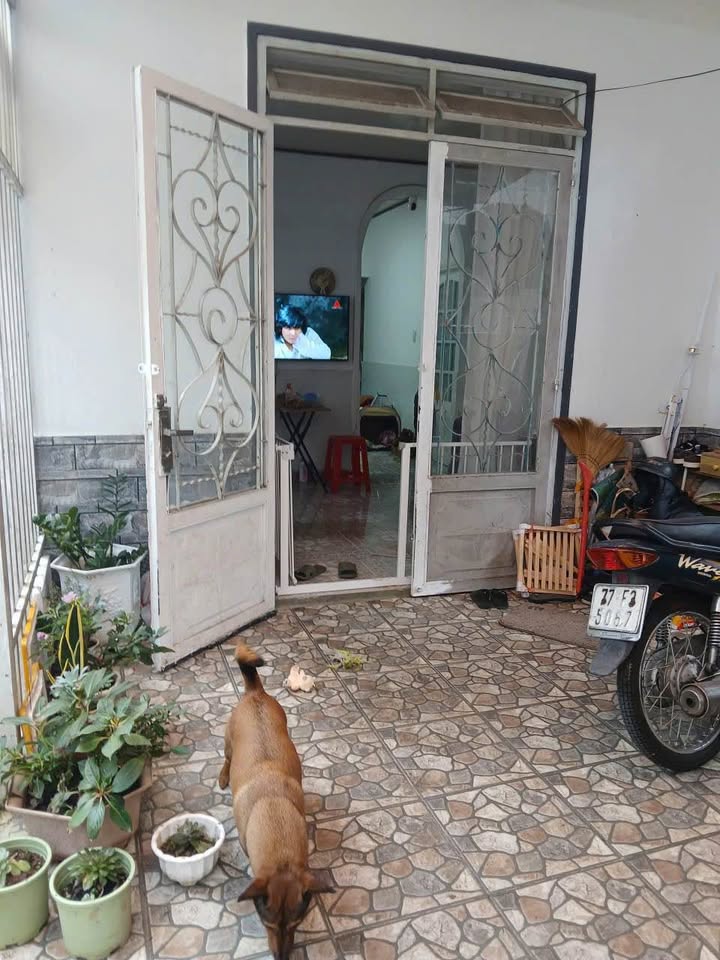 Nhà cho thuê tại Đà Lạt 90m² giá 6.5 triệu - Sẵn sàng vào ở!