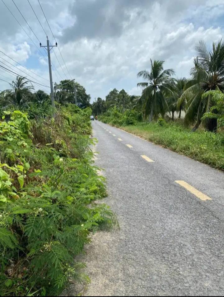 Đất nền mặt tiền đường Lý Thánh Tông, phường 6, 700m² giá 1.999 tỷ - Vị trí đắc địa, tiềm năng sinh lời cao