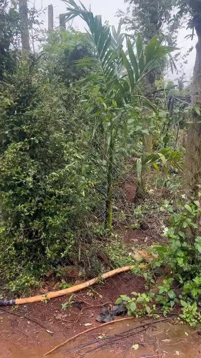 Đất thổ cư Cư Bao Buôn Hồ 810m² - Phân lô đẹp, vị trí trung tâm!