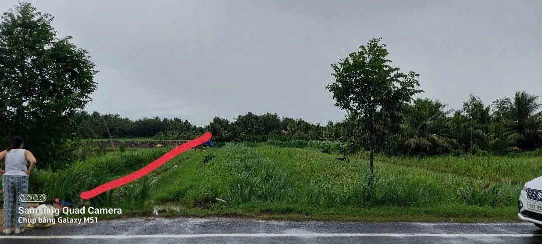 Đất nền mặt tiền TL 883, xã Sơn Hòa, 2524m² - Cơ hội kinh doanh tuyệt vời!