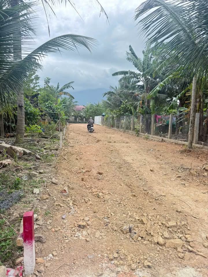 Đất Nền Ninh Lộc 144m² giá 300 triệu - Cơ hội đầu tư tuyệt vời!