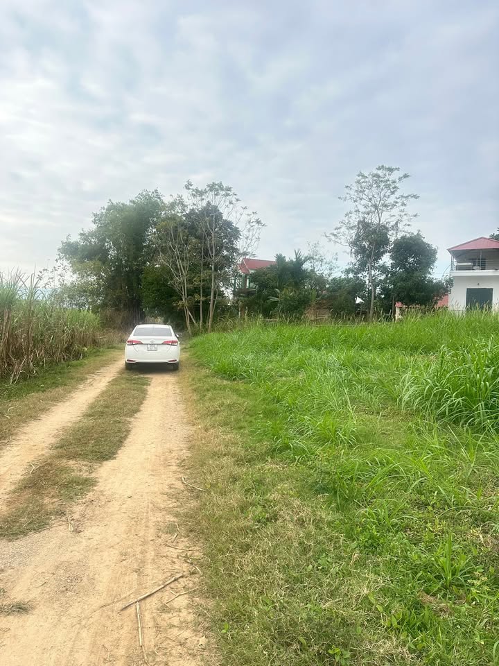 Đất nền thôn Phong Phú, xã Thành Vinh 150m² - Cơ hội đầu tư sinh lời!