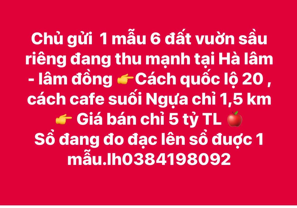 Đất vườn sầu riêng 1 mẫu tại Hà Lâm, Đạ Huoai - Giá chỉ 5 tỷ!