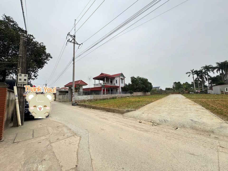 Đất Đan Tảo, Tân Minh, Sóc Sơn 83m² - Chính chủ bán, đầu tư lý tưởng!