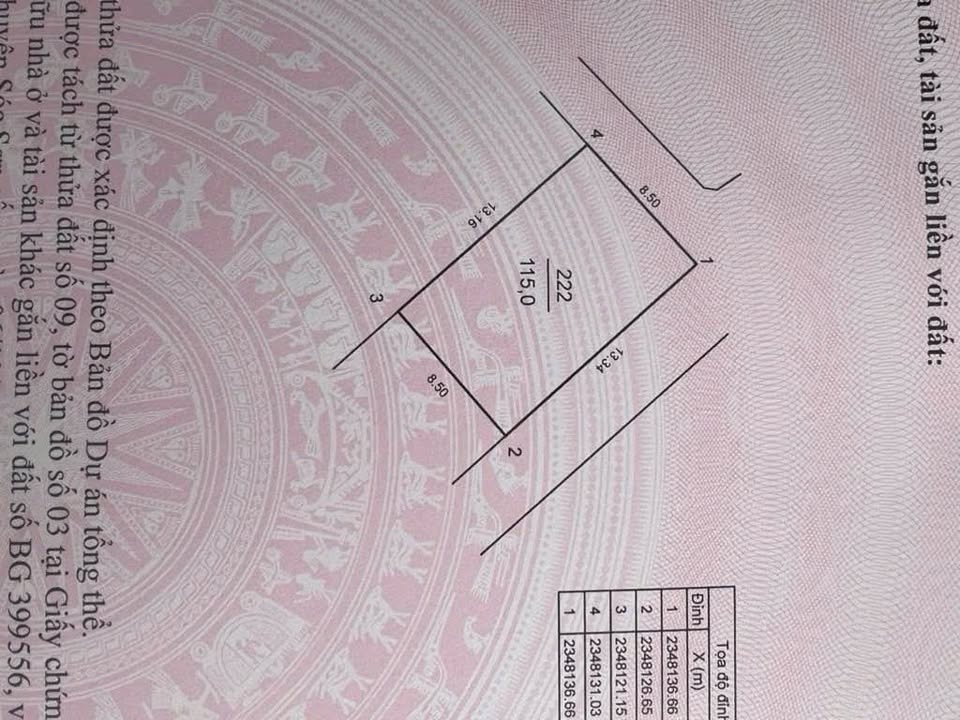 Đất nền góc Đông Thủy, Đông Xuân 115m² giá chỉ 3 tỷ - Cơ hội đầu tư hiếm có!