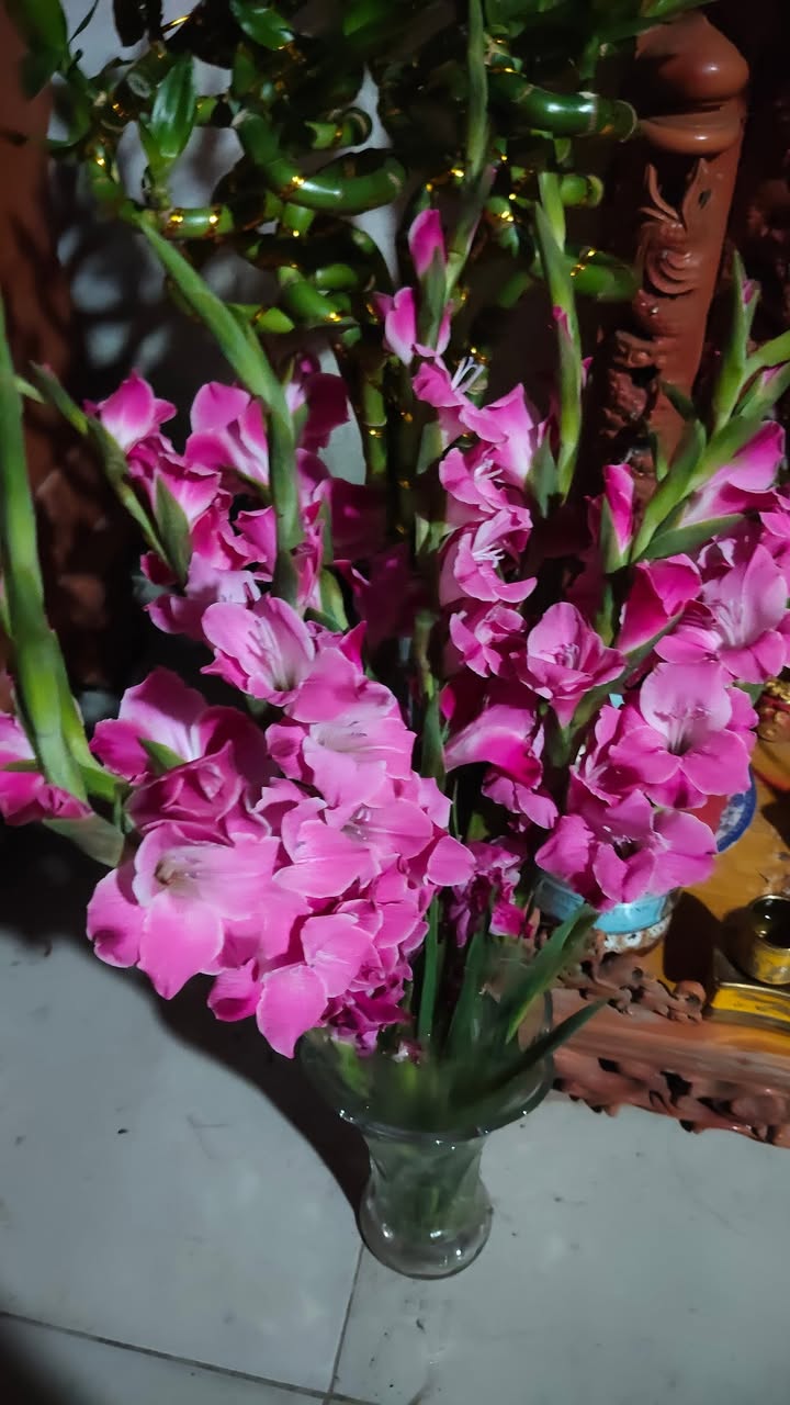 Nhà riêng Tam Kỳ 86m² giá 1.9 tỷ - Hướng Đông, đường ô tô 3m