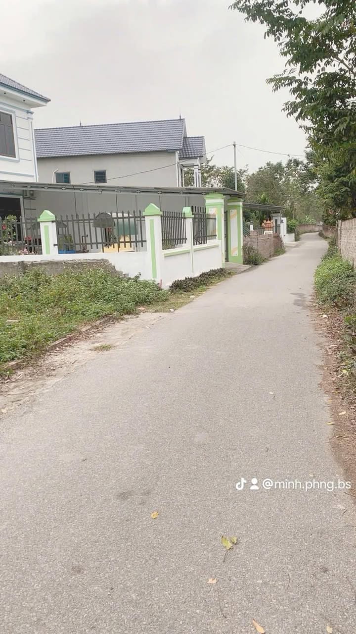 Đất nền Tam Quan Tam Đảo 260m² giá chỉ 800 triệu - Đầu tư sinh lời ngay!