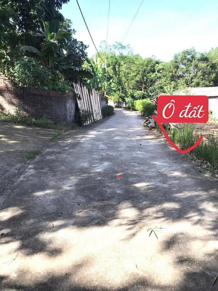 Đất thổ cư 104m² tại KCN Thái Hòa, Lập Thạch giá chỉ 400 triệu - Cơ hội đầu tư tuyệt vời!