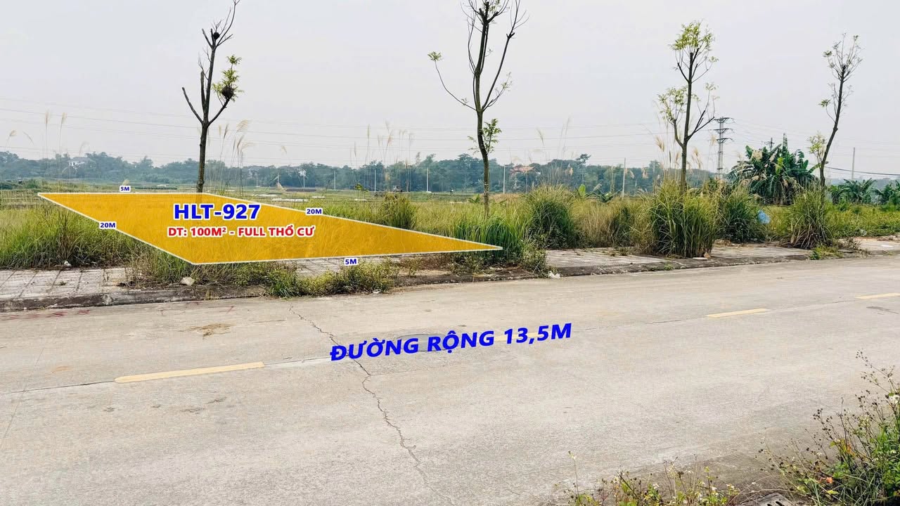 Đất đấu giá Nhân Lý Tam Quan 100m² giá chỉ 1.5 tỷ - Cơ hội đầu tư hiếm có!
