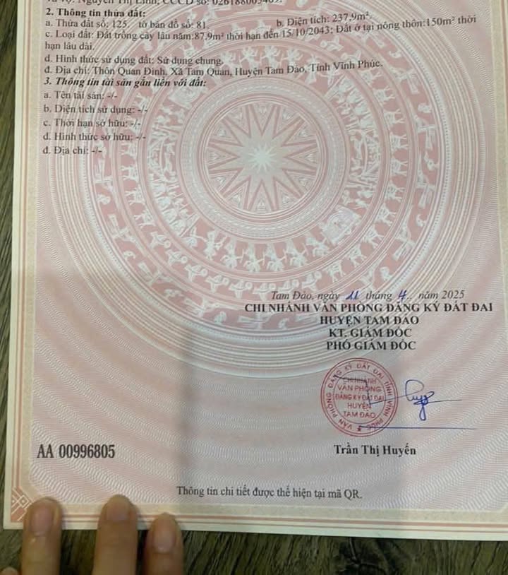 Đất kinh doanh Tam Quan Tam Đảo 220m² giá 1.7 tỷ - Đầu tư sinh lời ngay!