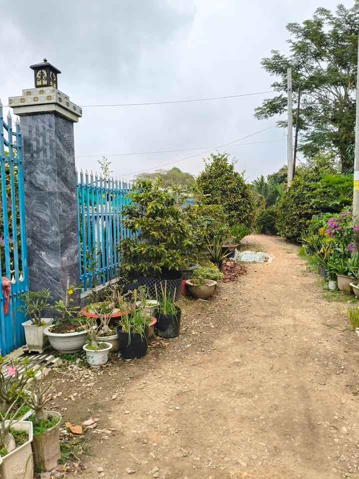 Đất nền chính chủ tại Hội An, Chợ Mới, 100m² giá 220 triệu - Gần phà An Hoà!