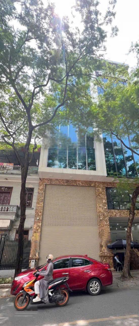 Cho thuê tòa nhà 8 tầng Mễ Trì, Nam Từ Liêm 65m² - Kinh doanh lý tưởng!