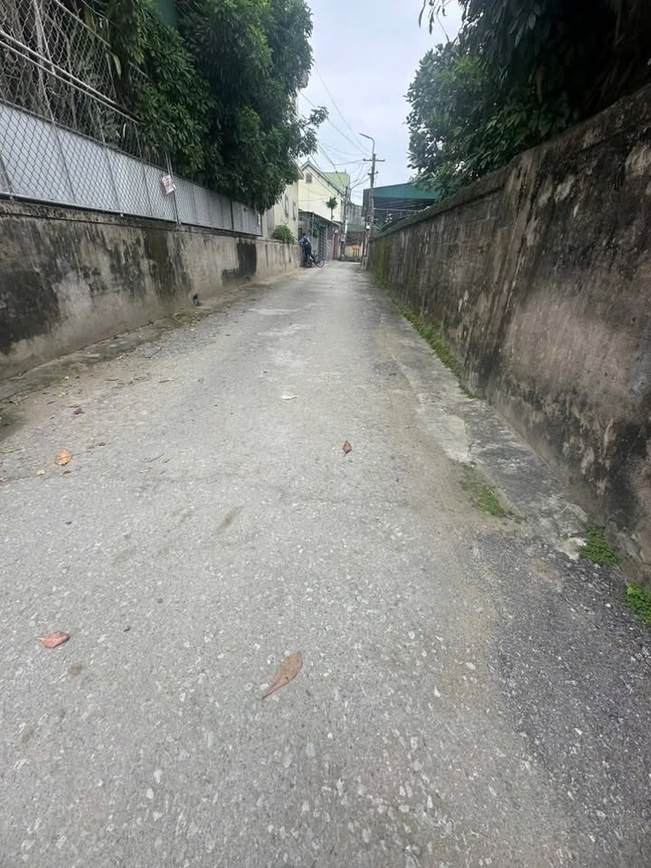 Đất nền Hưng Lộc Vinh 151,7m² giá 2.882 tỷ - Vị trí đắc địa, giao thông thuận lợi!