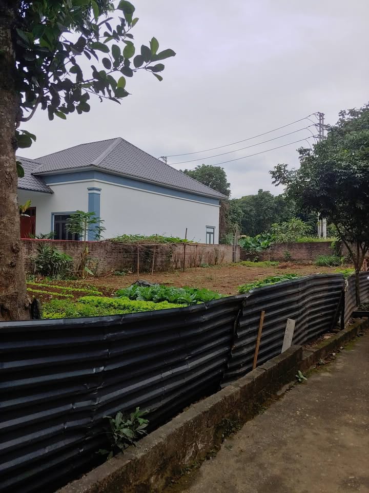 Đất nền Hòa Sơn Lương Sơn 784m² giá 5 tỷ - Đầu tư sinh lời ngay!