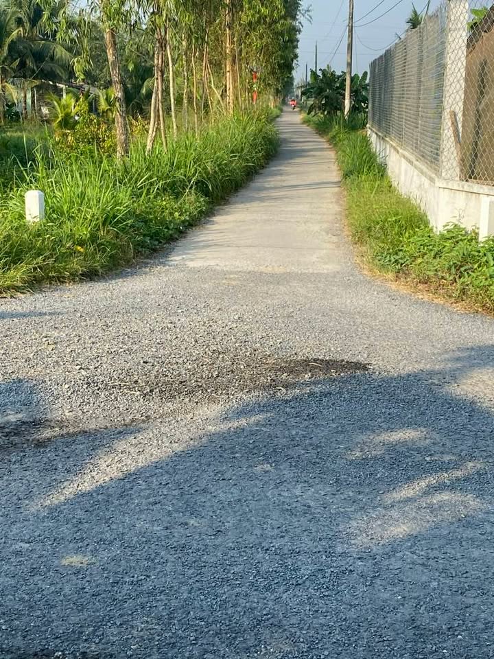 Đất nền 4.800m² tại Đa Lộc, Châu Thành, Trà Vinh - Giá chỉ 250 triệu/công!