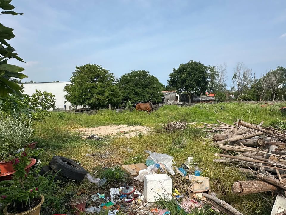 Bán đất thổ cư 126m² giá chỉ 830 triệu - Trung tâm P. Tân An, La Gi!