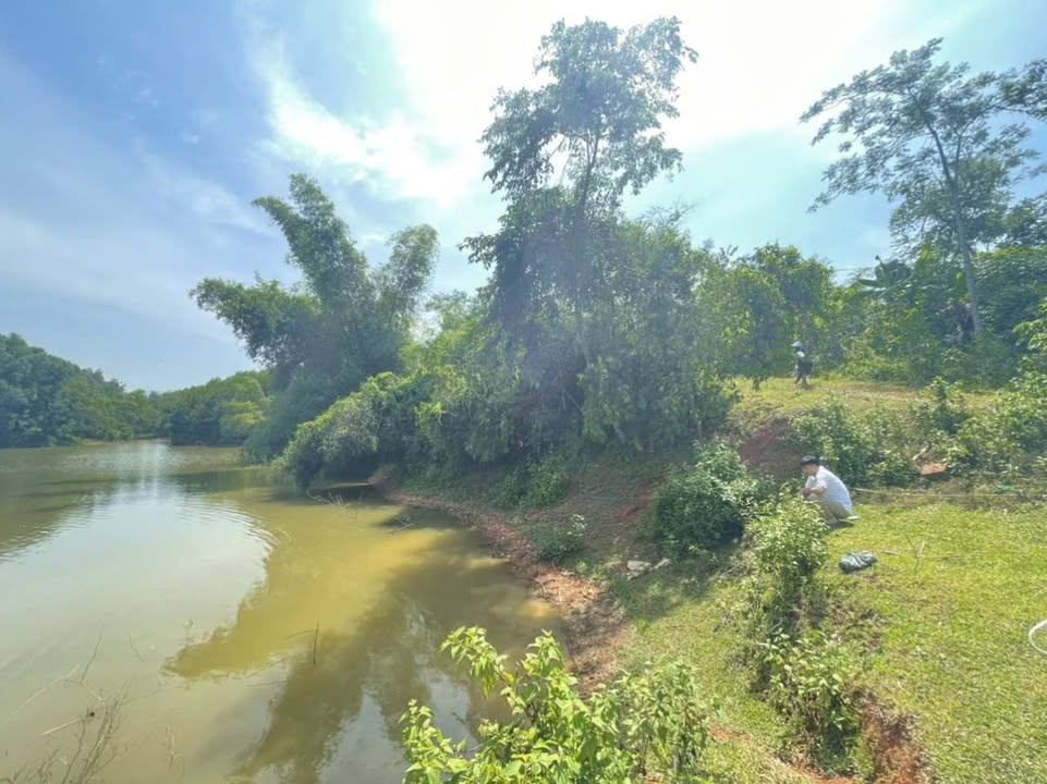 Đất thổ cư Lạc Sơn Hòa Bình 720m² giá 600 triệu - Cơ hội đầu tư tuyệt vời!