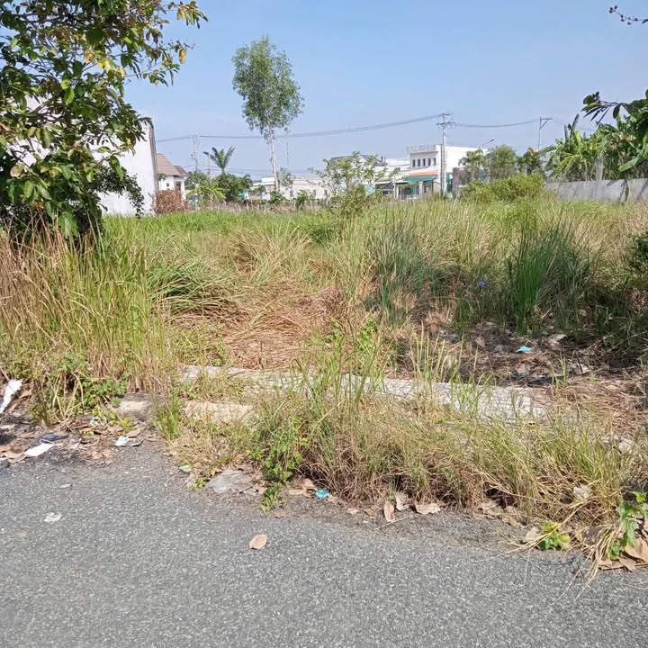 Đất nền thổ cư 110m² tại ấp 3 Long Định giá 1.07 tỷ - Cơ hội đầu tư tuyệt vời!