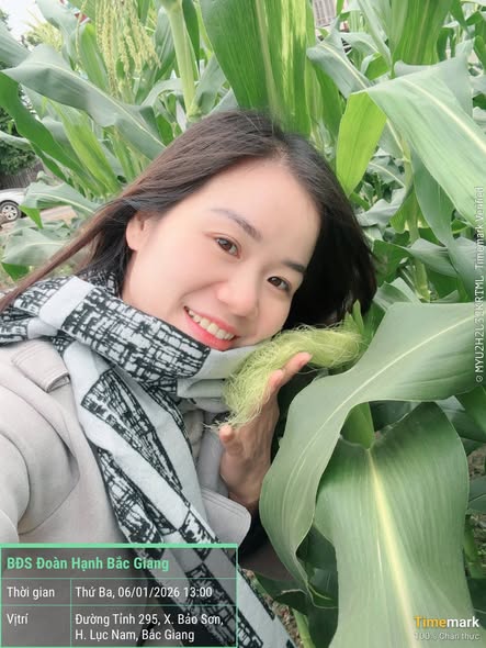 Đất nền Tân Hưng Bắc Giang 200m² giá 1 tỷ - Lô đẹp, xây nhà trọ ngay!