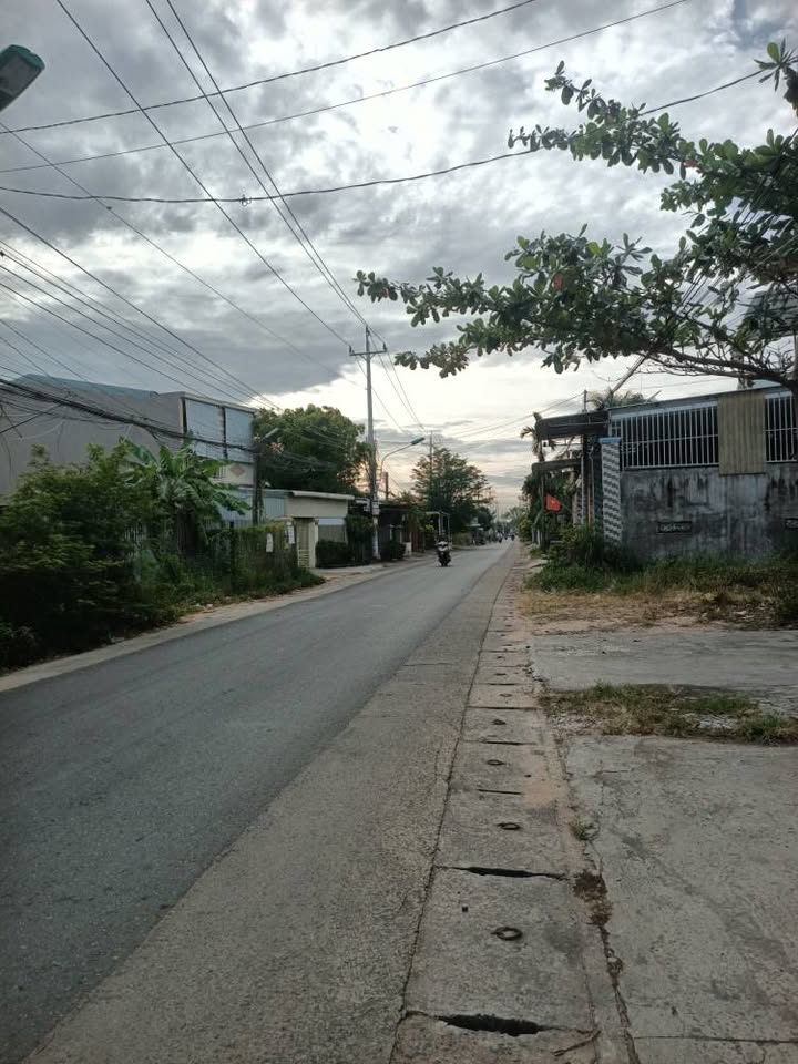 Đất thổ cư 255m² mặt tiền đường Ngô Đức Tốn - Cơ hội đầu tư sinh lời!