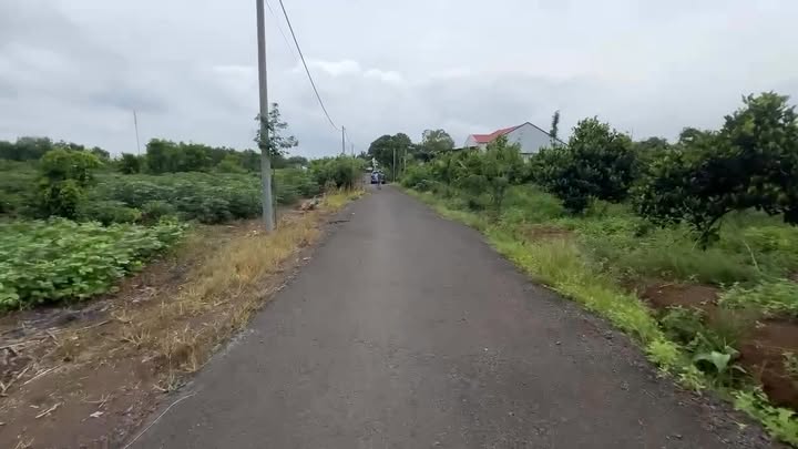 Đất nền Hòa Hiệp, Xuyên Mộc 959m² giá 1.35 tỷ - Cảnh đẹp núi non