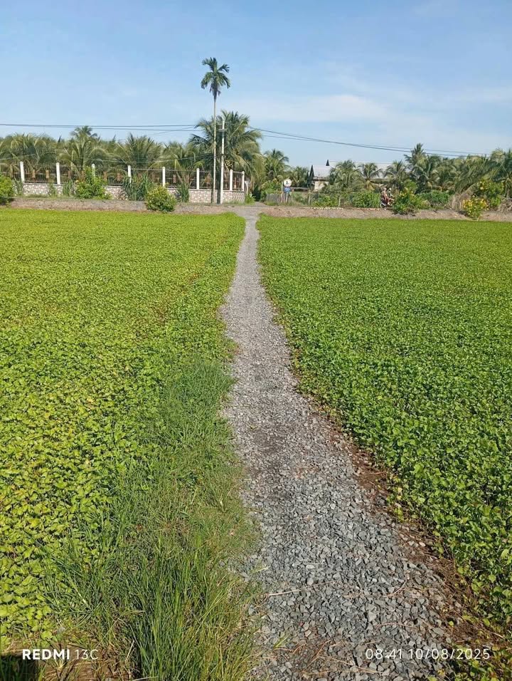 Đất mặt tiền Thân Cửu Nghĩa 3000m² giá 2.4 tỷ - Thích hợp làm vườn, xây nhà nghỉ dưỡng!