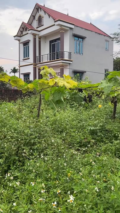 Đất nền Phường Trung Thành, Phổ Yên 420m² giá 2 tỷ - Mặt tiền đẹp, kinh doanh thuận lợi!