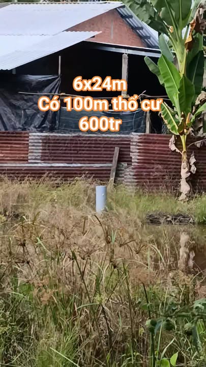 Đất nền Tân Hội, Cai Lậy, Tiền Giang 144m² - Đầu tư sinh lời lý tưởng!