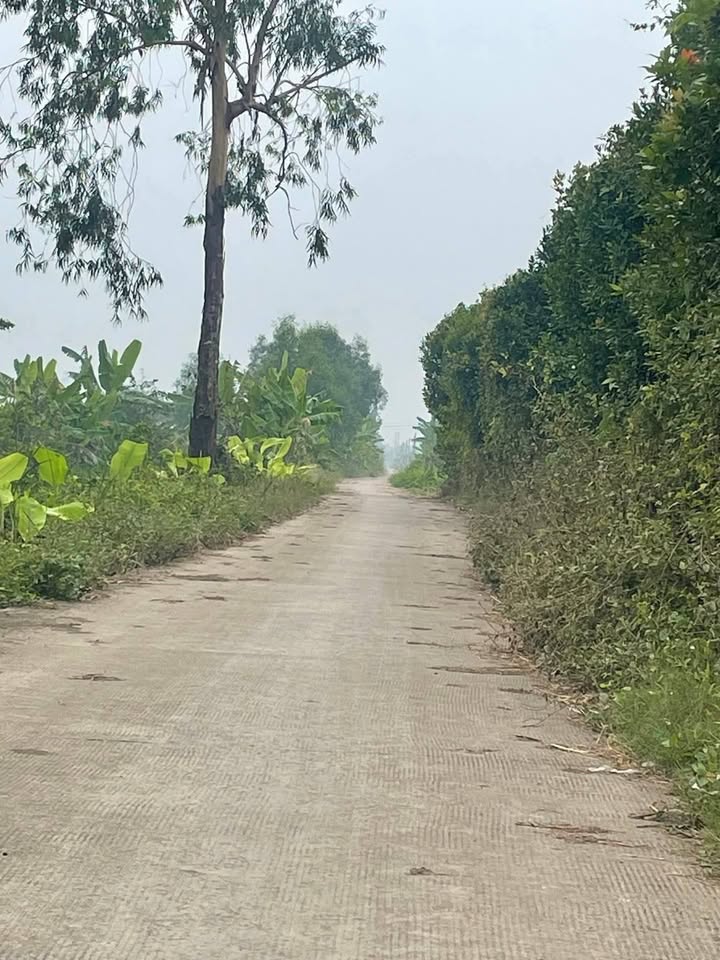 Đất nền Tân An, Củ Chi, 115m² giá 450 triệu - Đường ô tô 4.5m thuận tiện!