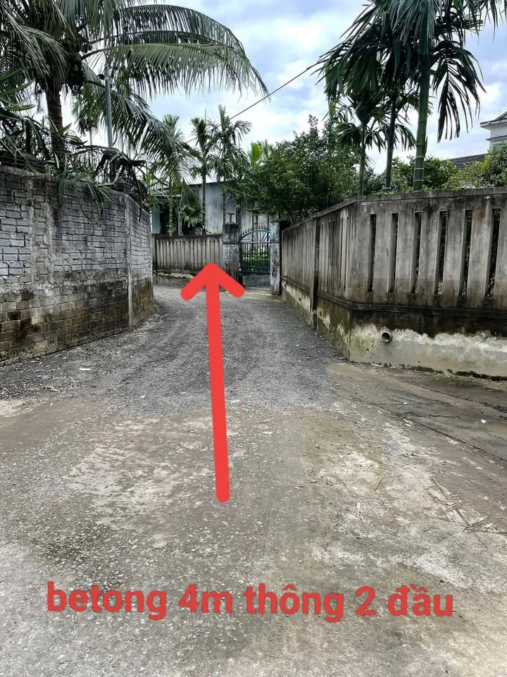 Đất Hòa Tiến Đà Nẵng 140m² giá 1.85 tỷ - Đầu tư sinh lời hấp dẫn!