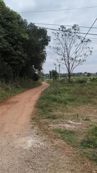 Đất nền An Dương Tân Yên 100m² giá 1 tỷ - Mặt tiền kinh doanh sầm uất!