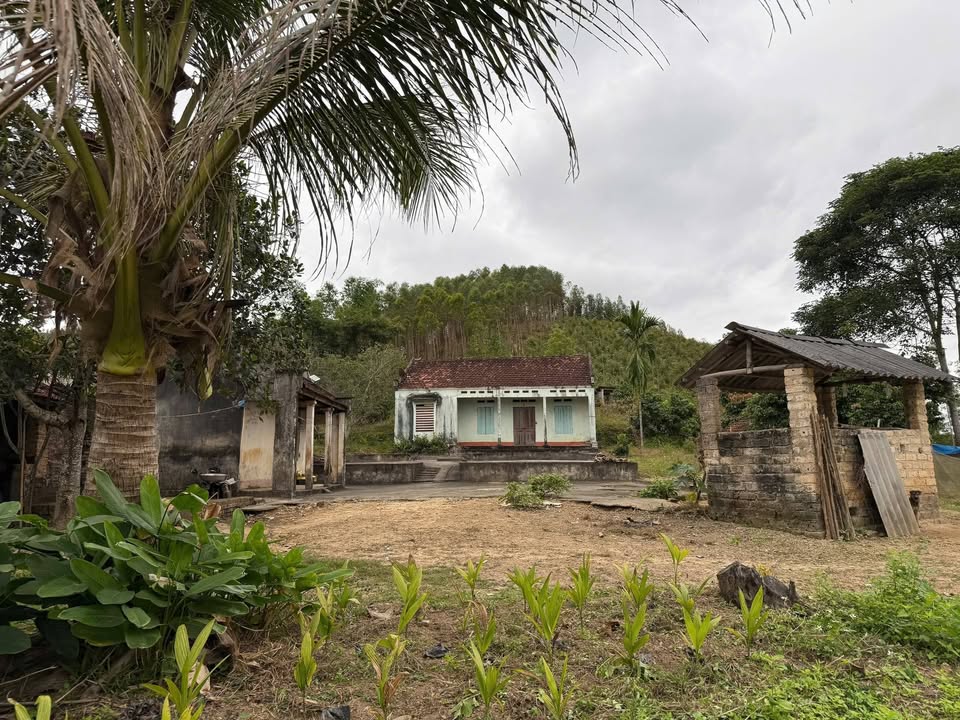 Đất vườn Đồng Kỳ Yên Thế 9000m² giá 2 tỷ - Cơ hội đầu tư tuyệt vời!