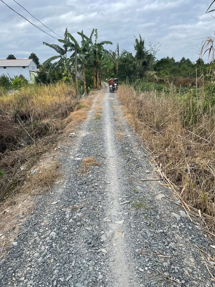 Đất vườn Long Hậu 5 công chỉ 750 triệu - Gần kênh thủy lợi