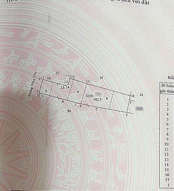 Đất mặt đường Hưng Yên, Nam Định 182m² giá 15 tỷ - Vị trí đẹp, kinh doanh thuận lợi!