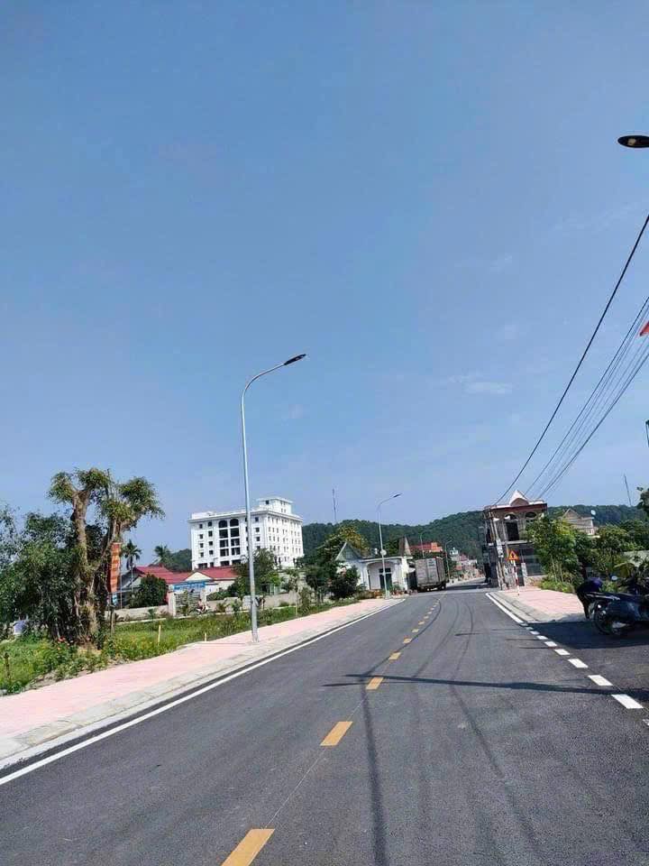 Đất nền đường 362 Thanh Sơn 158.5m² giá 2 tỷ - Kinh doanh sầm uất!