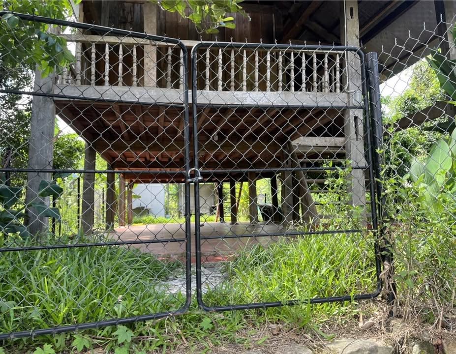 Lô đất 200m² tại thôn Nam Yên, Hòa Bắc - Lô góc 2 mặt tiền chỉ 2.25 tỷ!