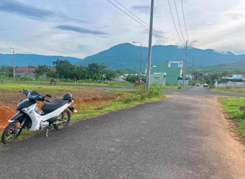 Đất biệt thự nhà vườn Hòa Ninh 504m² giá 4 tỷ - Tiềm năng sinh lời vượt trội!