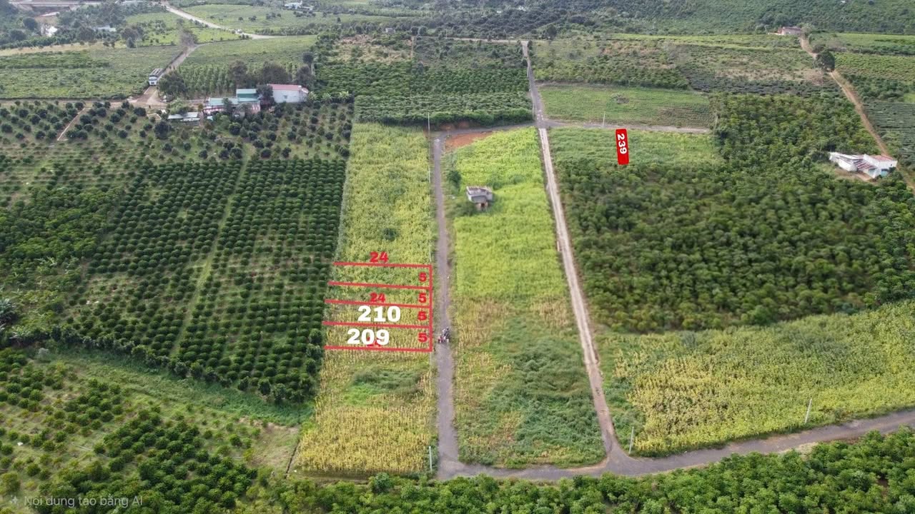 Đất thổ cư Lộc An 115m² giá 1.2 tỷ - Gần khu vực phát triển!