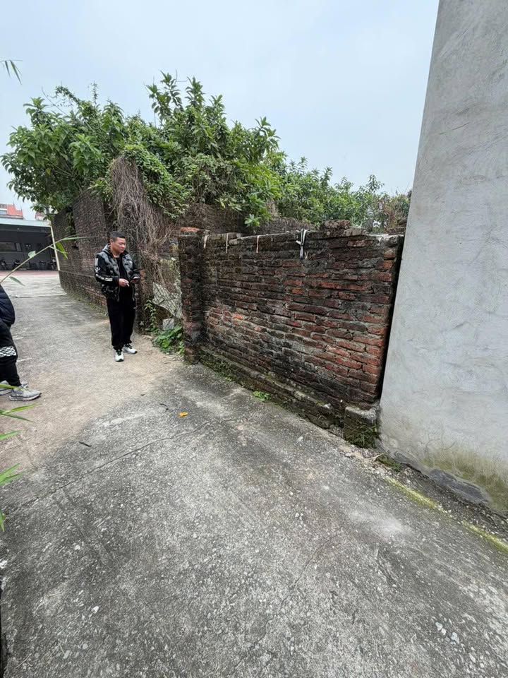 Đất nền Tân Minh, Thường Tín 102m² giá 5.86 tỷ - Tiềm năng tăng giá vượt trội!