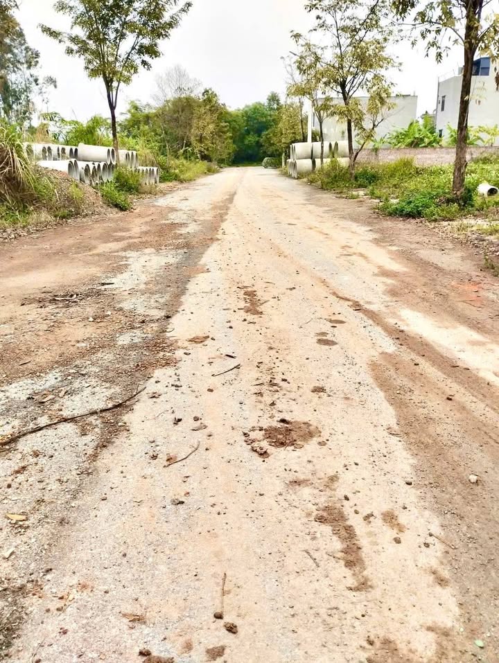 Bán lô đất khu đô thị TDP Chám, Định Trung, Vĩnh Yên 102m² - Đầu tư sinh lời dễ dàng!