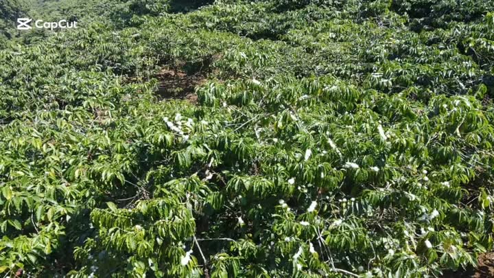 Đất Tân Lâm 5000m² giá 1.65 tỷ - Đầu tư lý tưởng cho tương lai!