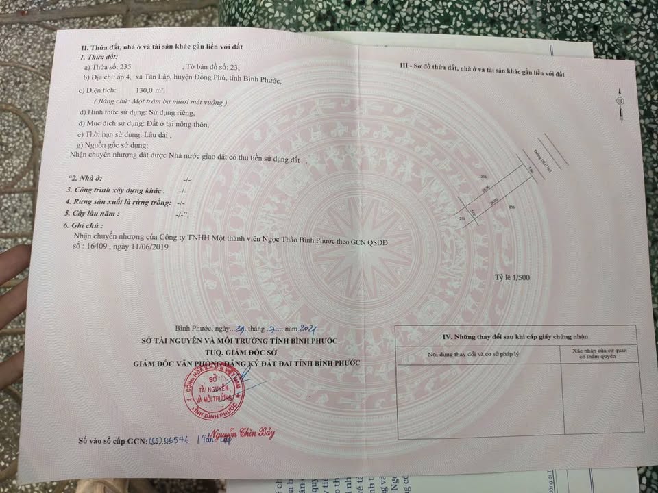 Đất mặt tiền nhựa Tân Lập, Đồng Phú 130m² giá 500 triệu - Cơ hội đầu tư hấp dẫn!